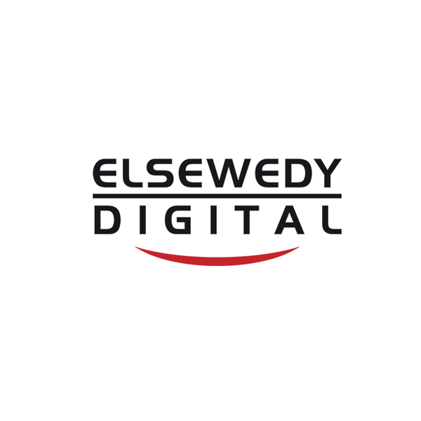 Elsewedy and Gulf Data Hub to Build 192MW DC in Egypt
